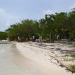 Bird Island lunch stop on Eco tour