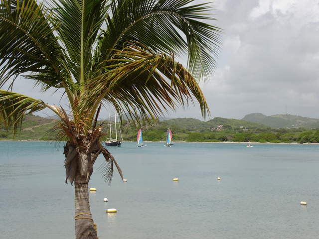 Sailing Bay by hotel