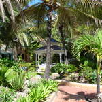 Hotel gardens