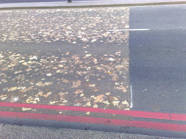 Strange road/leaf phenomena  sweeping London