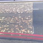 Strange road/leaf phenomena  sweeping London