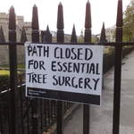 Essential Tree Surgery