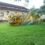 P1030326.JPG