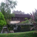 P1030345.JPG