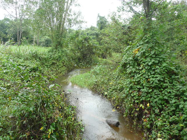 P1030414.JPG