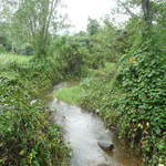 P1030414.JPG