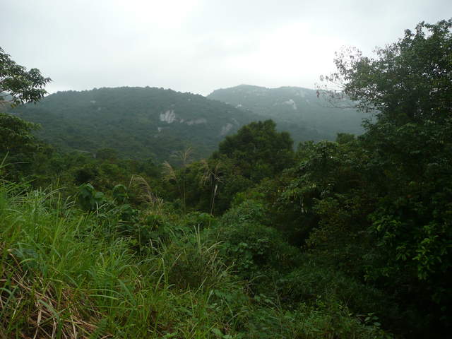 P1030425.JPG