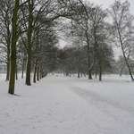 Cassiobury Park