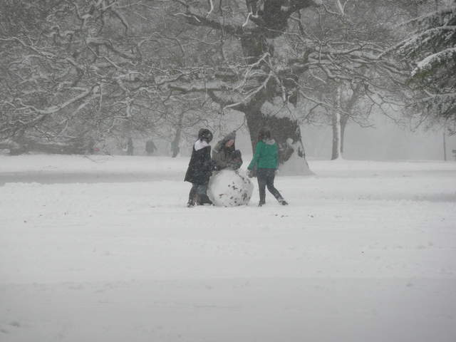 Kids building snowman in Cassiobury Park