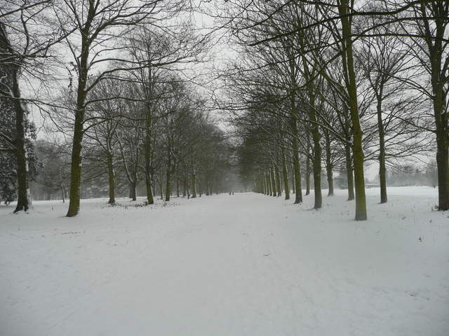 Cassiobury Park