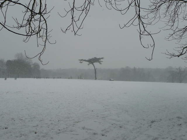 Cassiobury Park