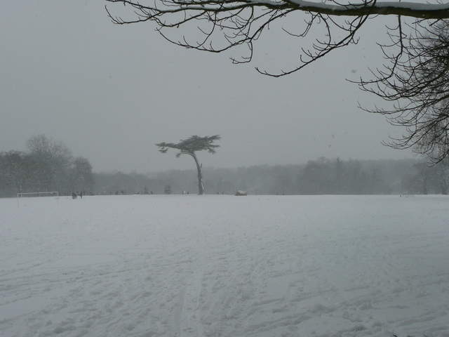 Cassiobury Park