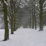 Cassiobury Park