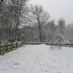 Cassiobury Park
