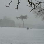 Cassiobury Park