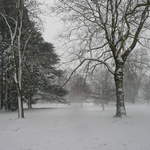Cassiobury Park