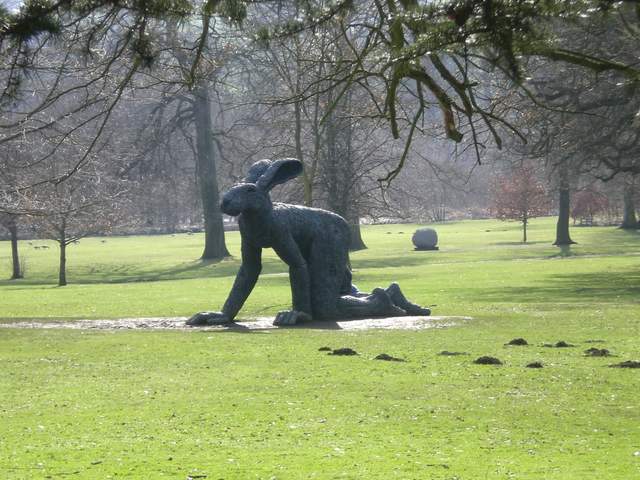 CIMG3083.JPG