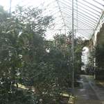 CIMG3112.JPG