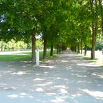 Vigeland sculpture park