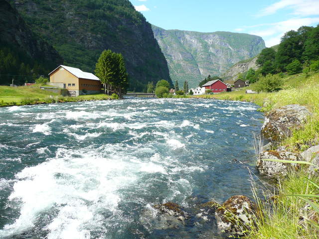 P1030733.JPG