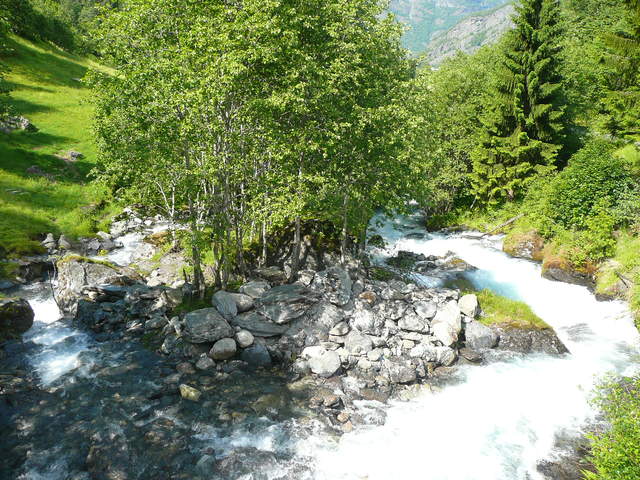 P1030735.JPG