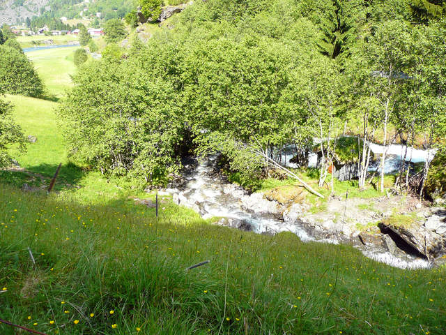 P1030737.JPG