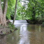 Cassiobury Park