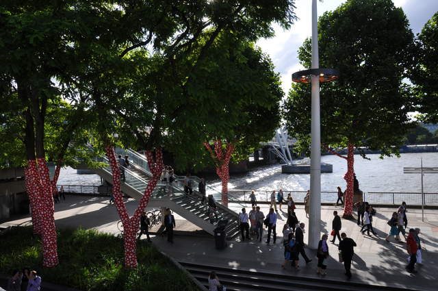 Ascension of Polkadots on the Trees