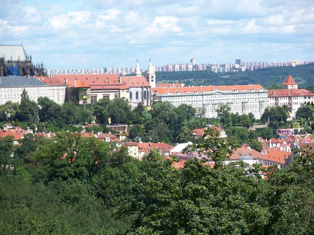 100_4142.JPG