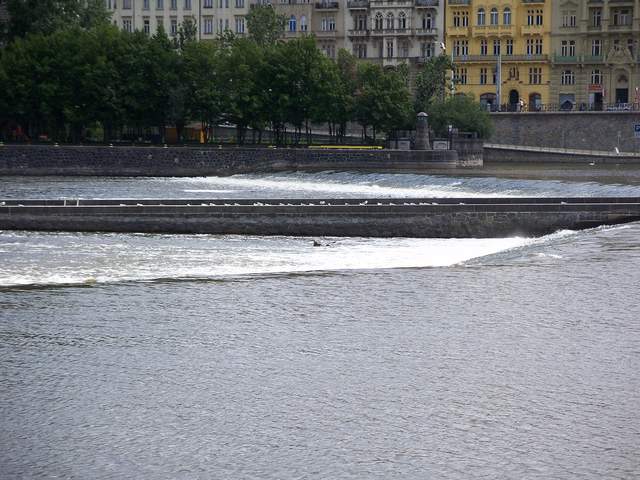 100_4213.JPG
