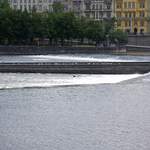 100_4213.JPG