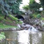 100_4412