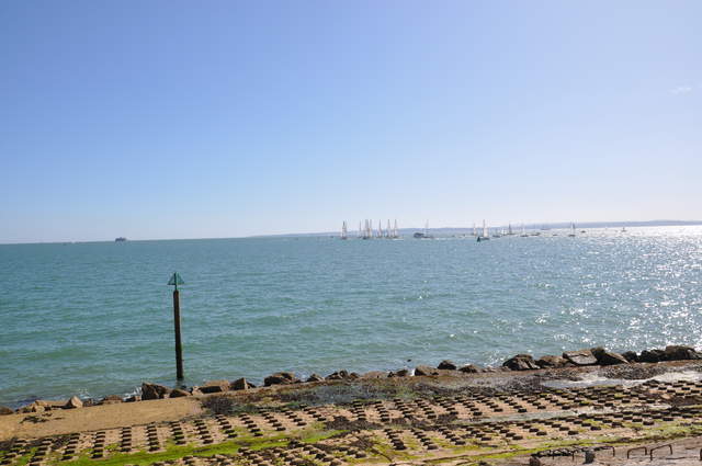DSC_0062.JPG