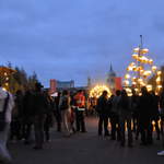 Fire garden sculptures