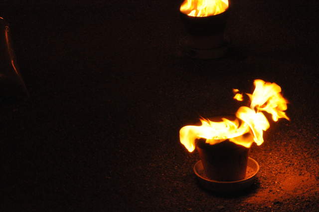 Fire garden