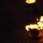 Fire garden