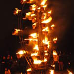 Fire garden sculptures