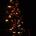 Fire garden sculptures