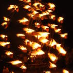 Fire garden sculptures