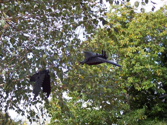 100_1177.jpg