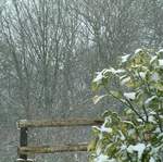 Snow scene 042a