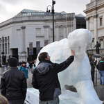 Bear on the Square