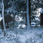 Church road in the snow
