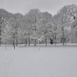 Cassiobury Park in the snow