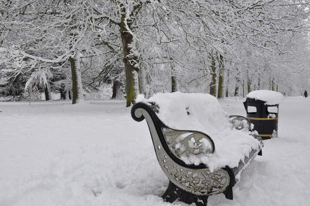 Cassiobury Park in the snow
