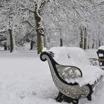 Cassiobury Park in the snow