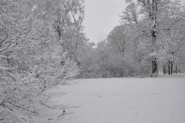 Cassiobury Park in the snow