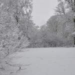 Cassiobury Park in the snow