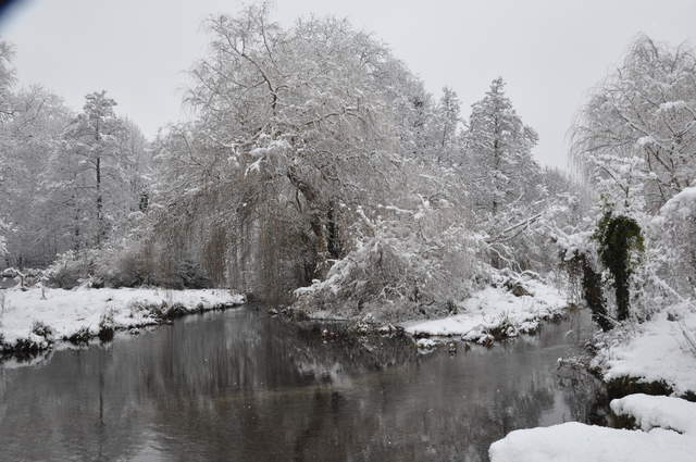 Cassiobury Park