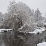 Cassiobury Park